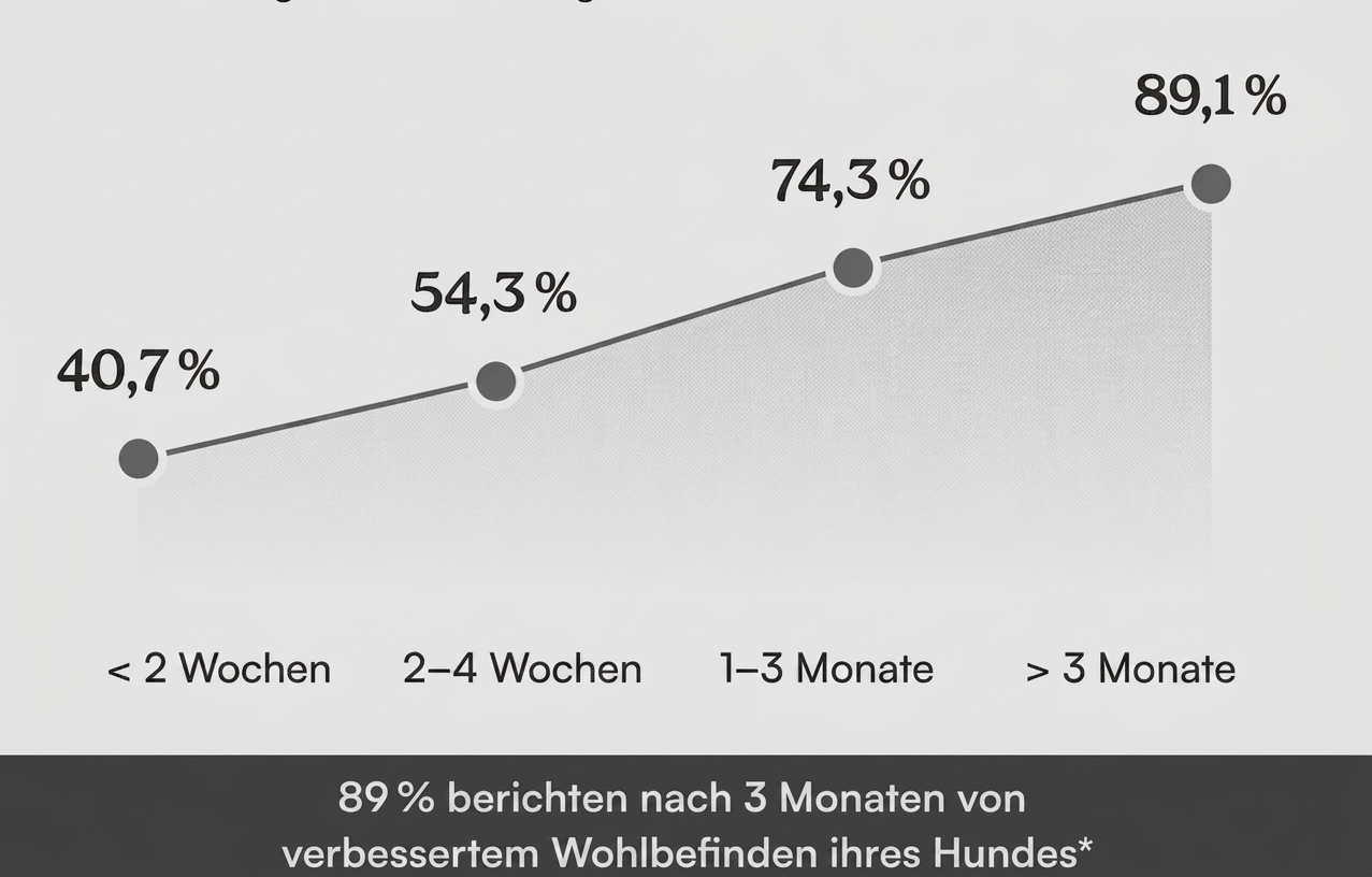 Studienergebnis: 89% berichten nach 3 Monaten von verbessertem Wohlbefinden
