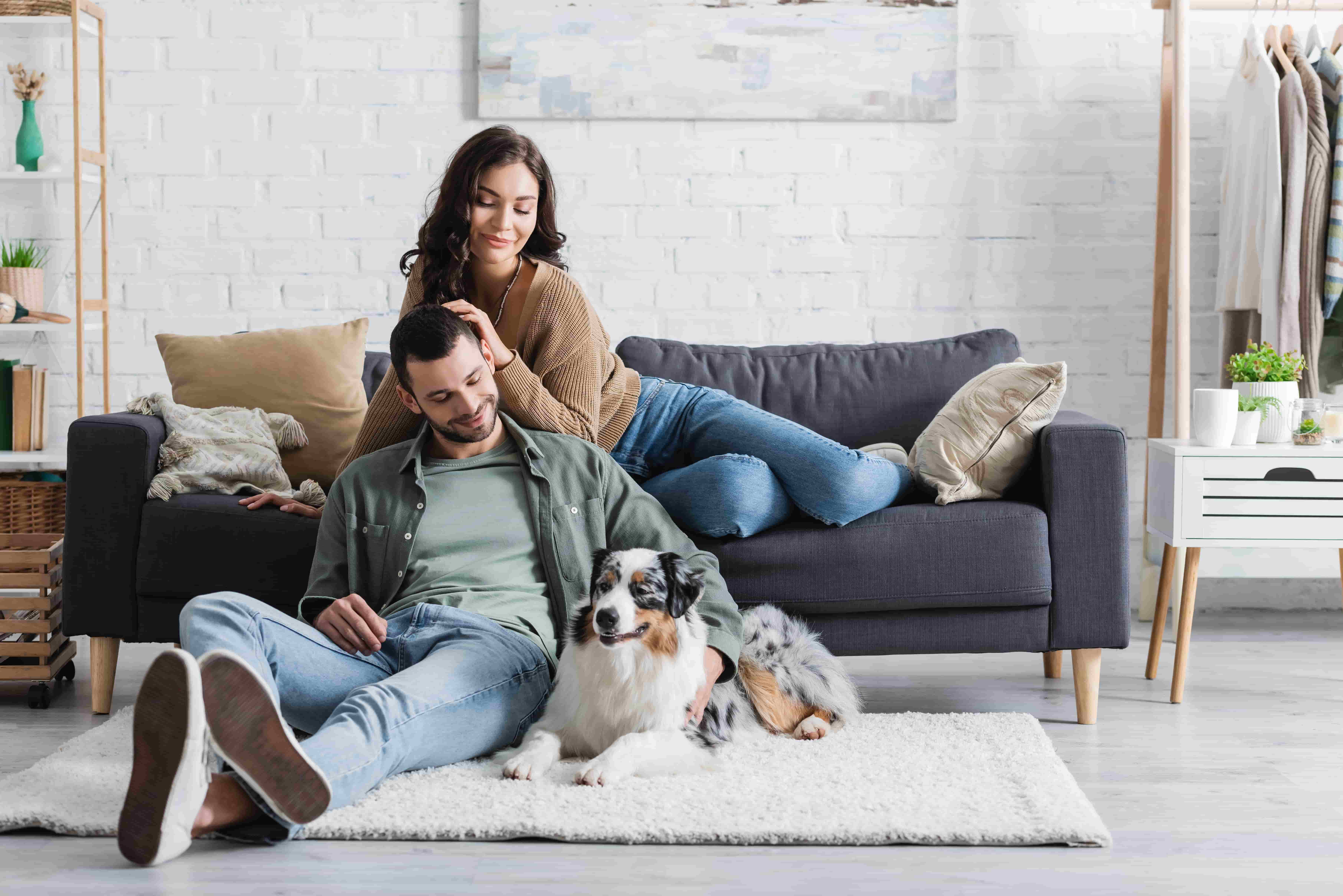 Couple relaxing on the floor with their dog, spending a cozy evening at home with their comfortable sofa nearby